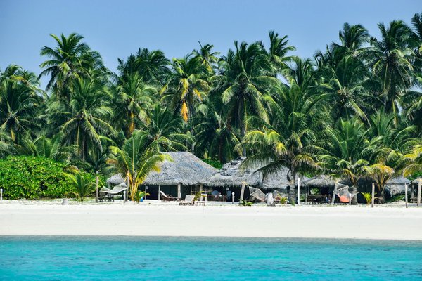 Où pratiquer le snorkeling au milieu des raies manta à Hawaii ?