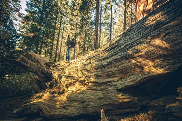 Comment organiser une visite des villages traditionnels de la vallée de Kathmandu au Népal?